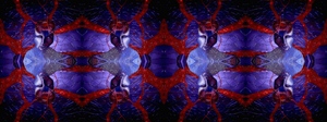 Graphic